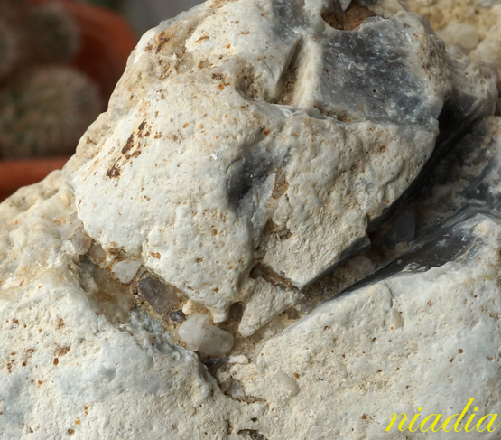 Компания кладоискателей. Болталка форума Минералов