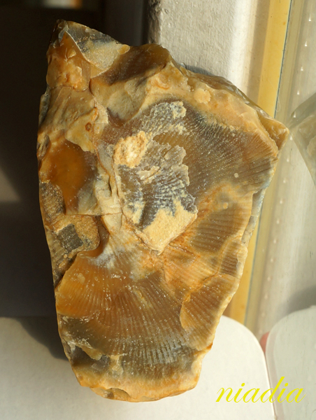 Компания кладоискателей. Болталка форума Минералов