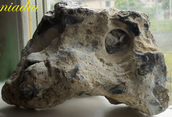 Компания кладоискателей. Болталка форума Минералов