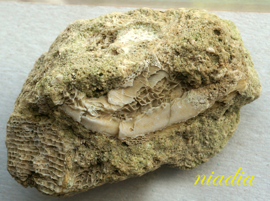 Компания кладоискателей. Болталка форума Минералов