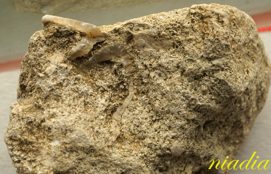 Компания кладоискателей. Болталка форума Минералов