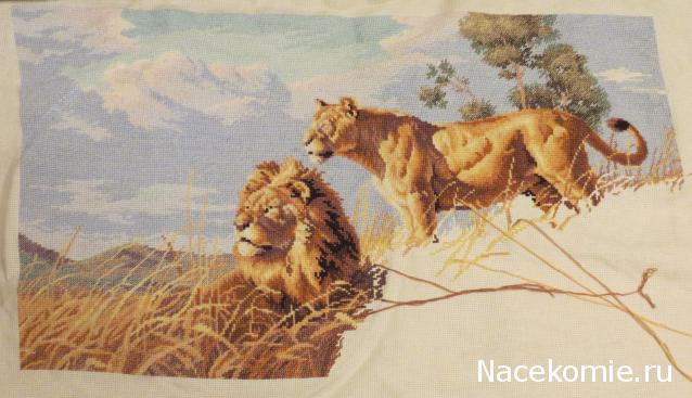 100 крестиков!