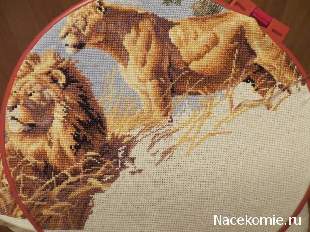 100 крестиков!