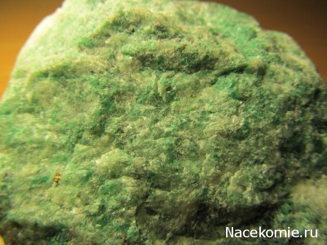 Компания кладоискателей. Болталка форума Минералов