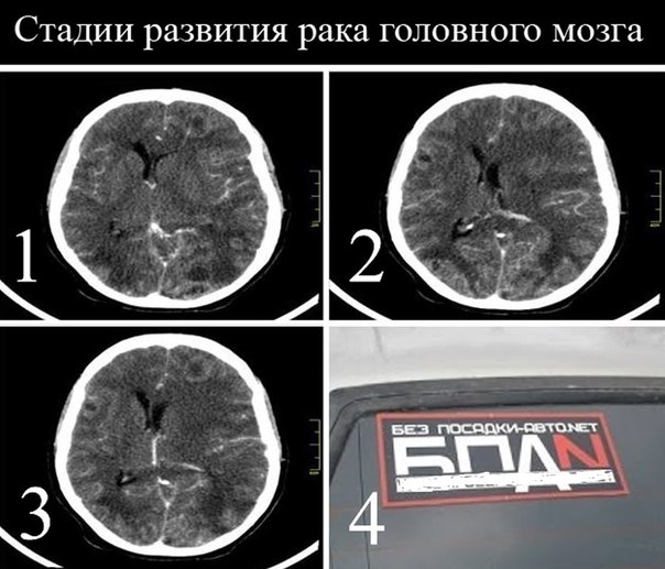 Автолегенды вживую