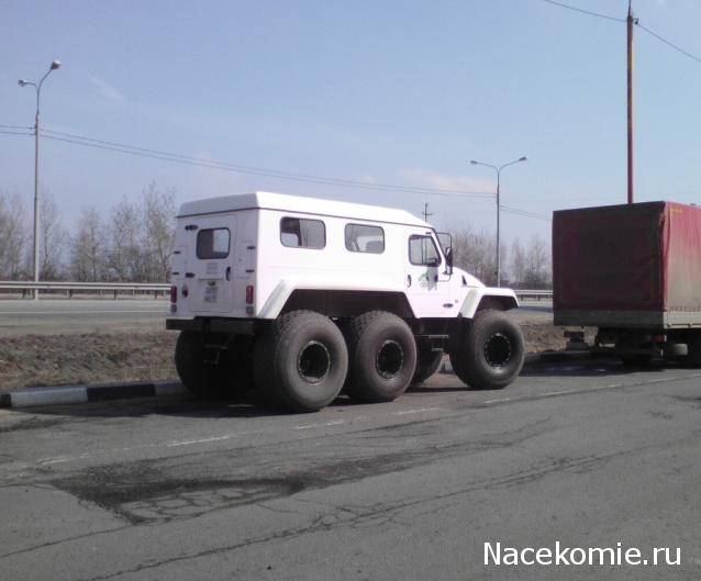 Автолегенды вживую