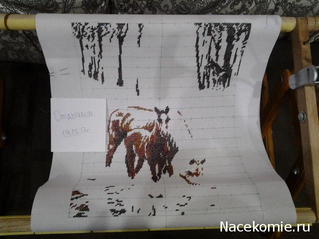 100 крестиков!