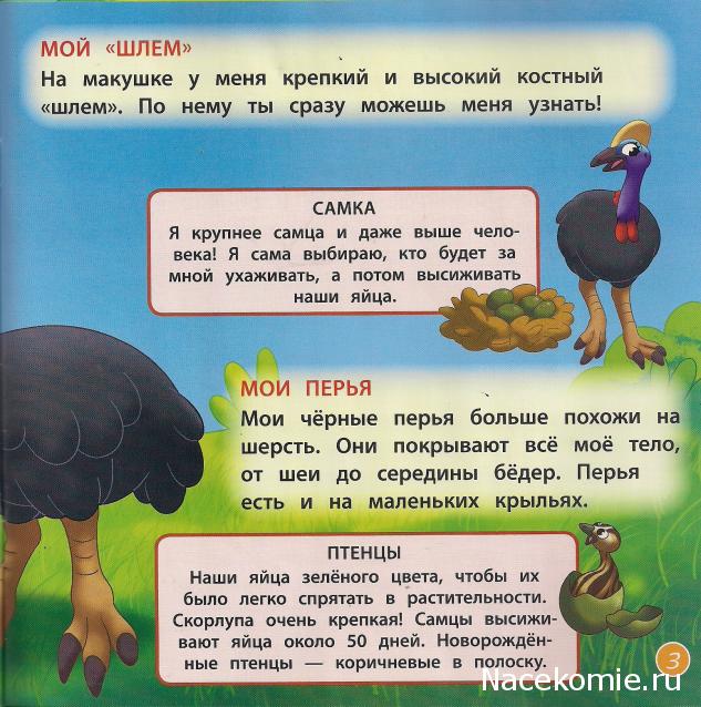 Животные Дикой Природы №24 - Детеныш Страуса и 3-я часть палатки