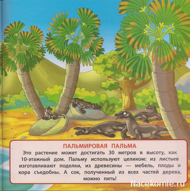 Животные Дикой Природы №23 - Самец Комодского Варана Кен