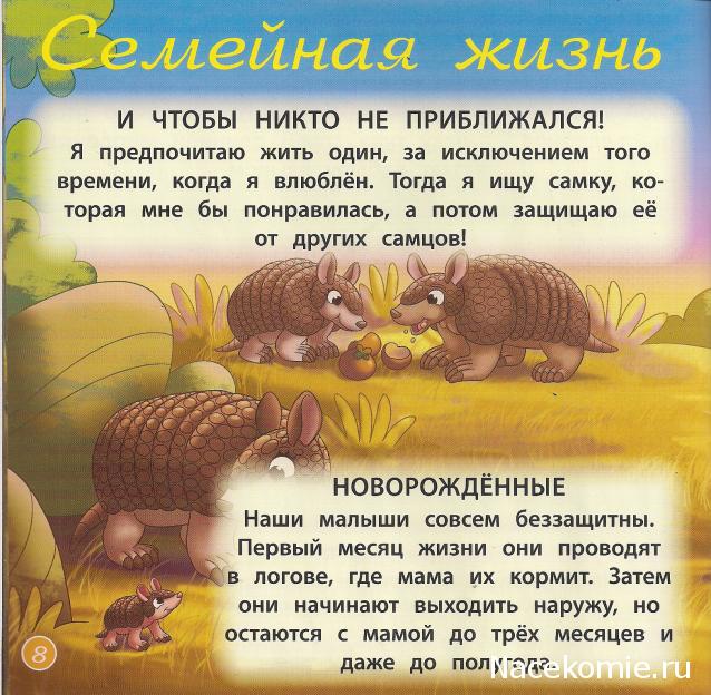 Животные Дикой Природы №22 - Самец Броненосца Мирро и Детеныш Тигра