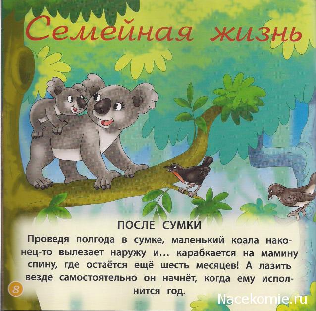 Животные Дикой Природы №27 - Самка Коалы Кики и 4-я часть палатки рейнджеров