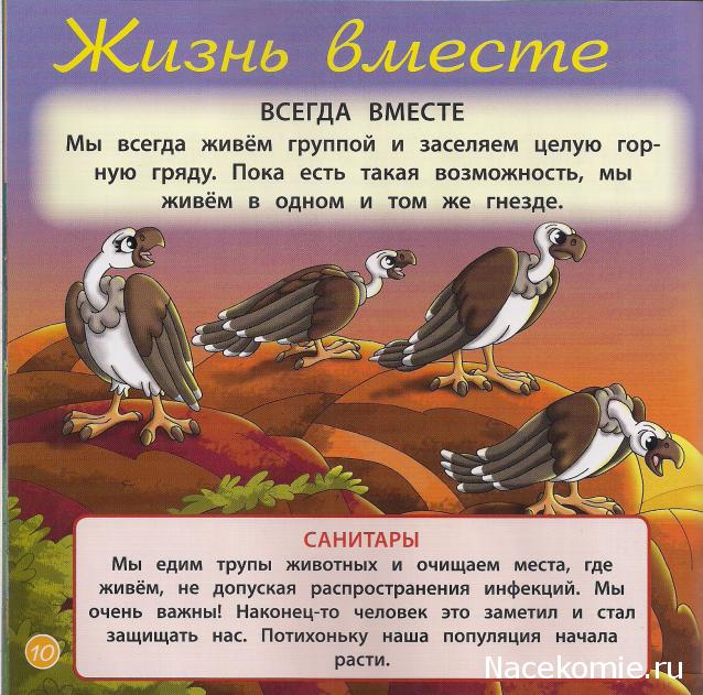 Животные Дикой Природы №26 - Гриф Тито и Детеныш Гиены