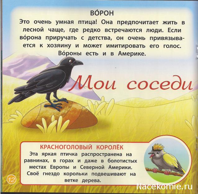 Животные Дикой Природы №26 - Гриф Тито и Детеныш Гиены