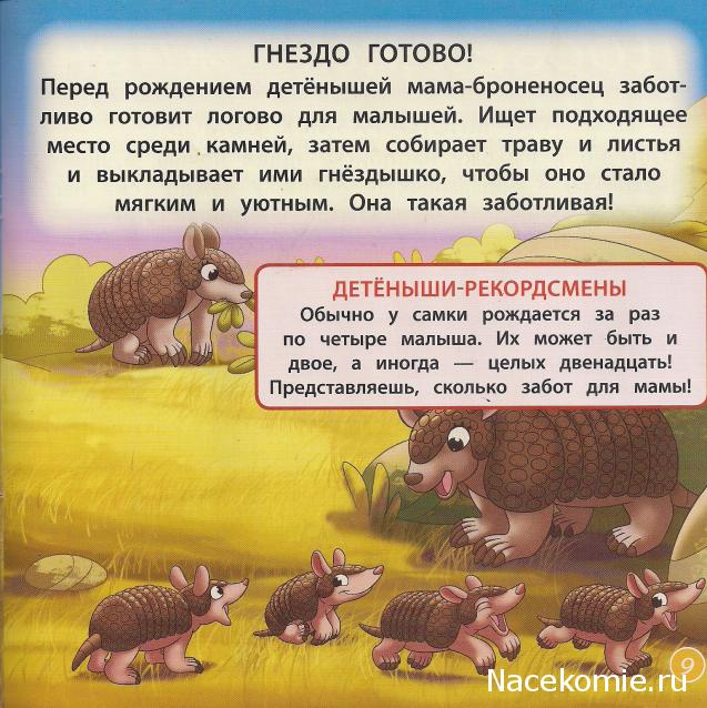 Животные Дикой Природы №22 - Самец Броненосца Мирро и Детеныш Тигра