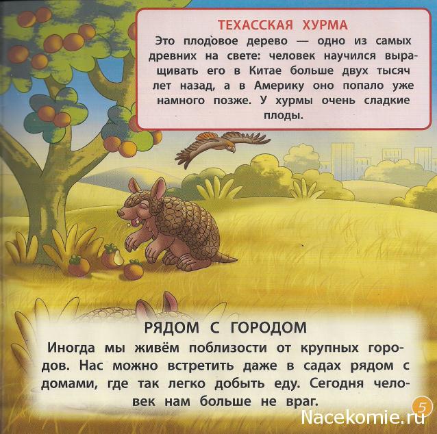 Животные Дикой Природы №22 - Самец Броненосца Мирро и Детеныш Тигра