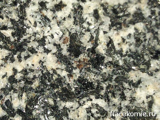 Компания кладоискателей. Болталка форума Минералов