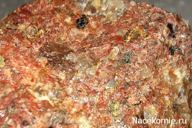 Компания кладоискателей. Болталка форума Минералов