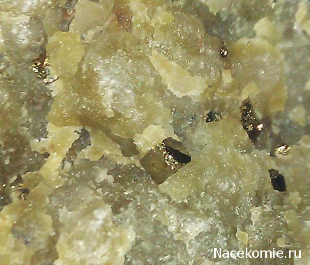 Компания кладоискателей. Болталка форума Минералов