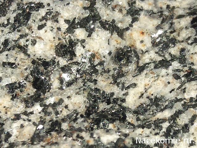 Компания кладоискателей. Болталка форума Минералов