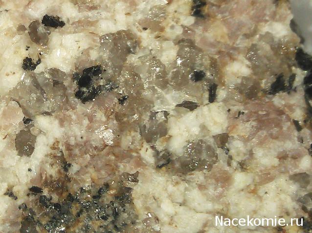 Компания кладоискателей. Болталка форума Минералов