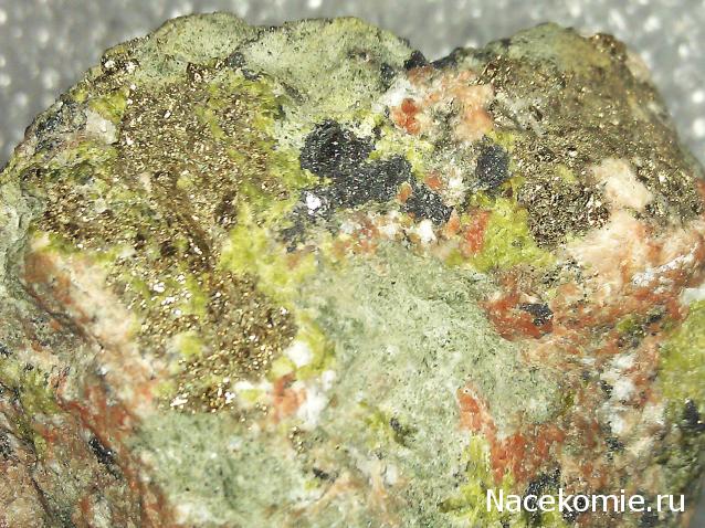 Компания кладоискателей. Болталка форума Минералов