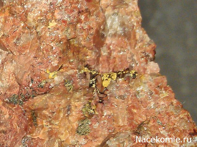 Компания кладоискателей. Болталка форума Минералов