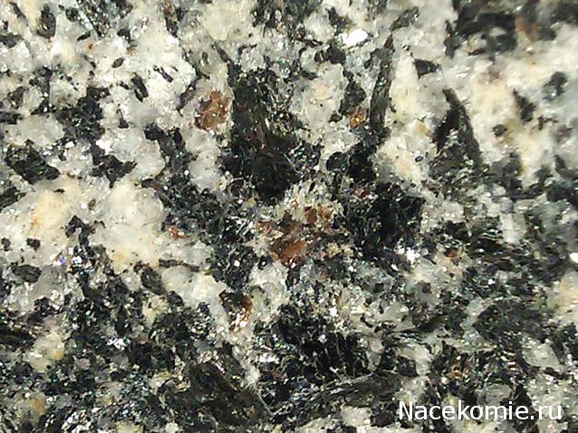 Компания кладоискателей. Болталка форума Минералов