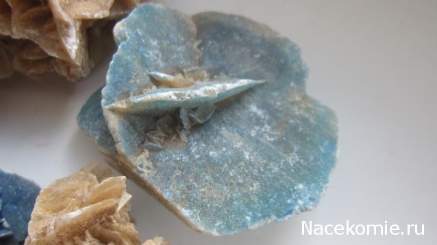 Компания кладоискателей. Болталка форума Минералов