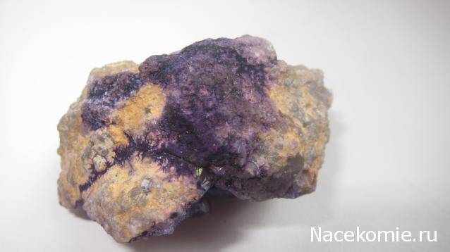 Компания кладоискателей. Болталка форума Минералов