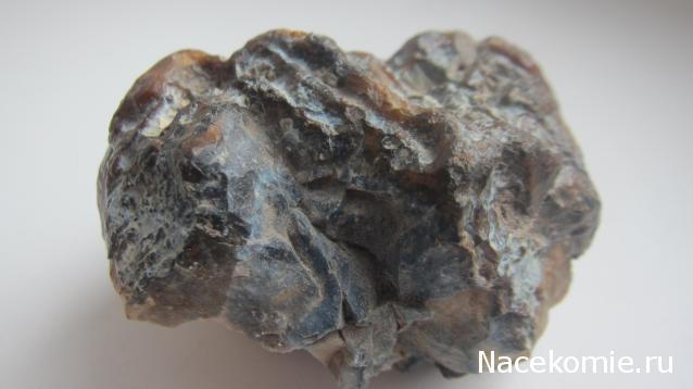 Компания кладоискателей. Болталка форума Минералов