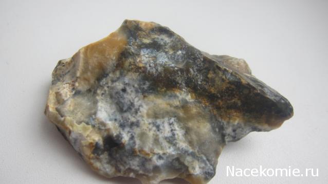 Компания кладоискателей. Болталка форума Минералов