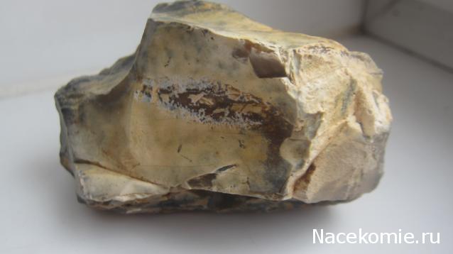 Компания кладоискателей. Болталка форума Минералов