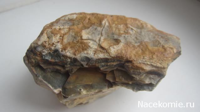 Компания кладоискателей. Болталка форума Минералов