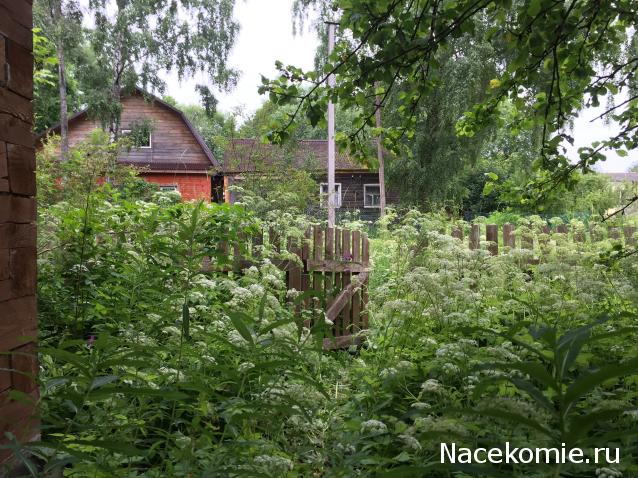Тракторная болталка