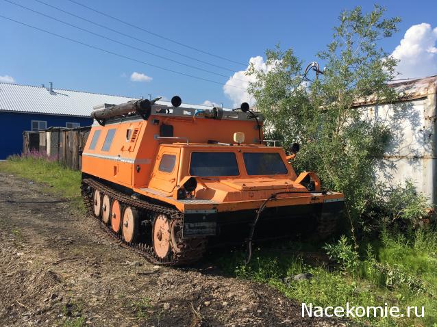 Автолегенды вживую