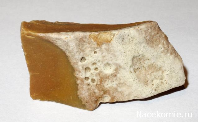 Компания кладоискателей. Болталка форума Минералов