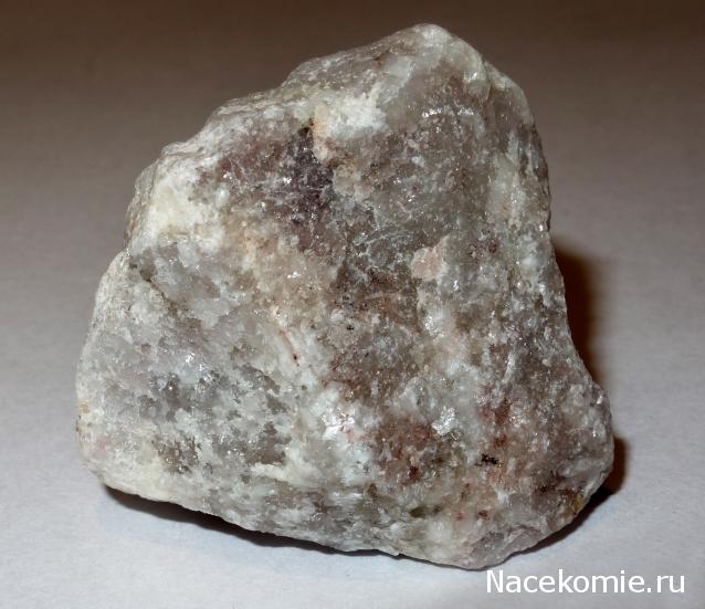 Компания кладоискателей. Болталка форума Минералов