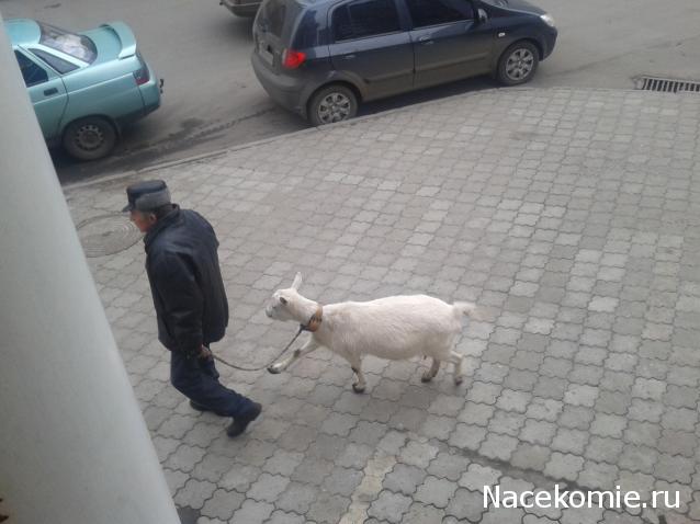 "Живой уголок"