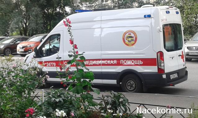 Болталка АЛ и АНС