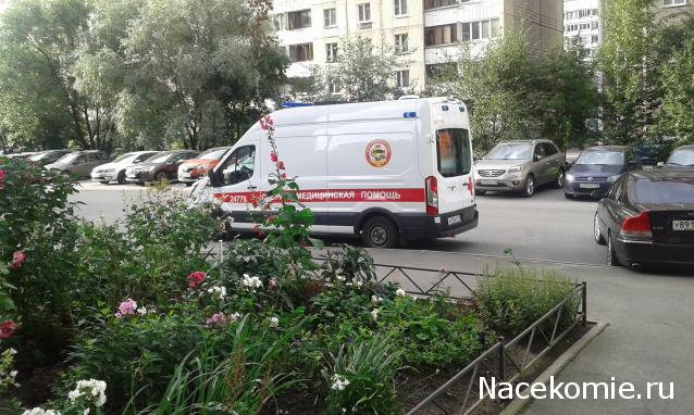 Болталка АЛ и АНС
