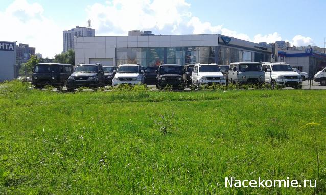 Автолегенды вживую