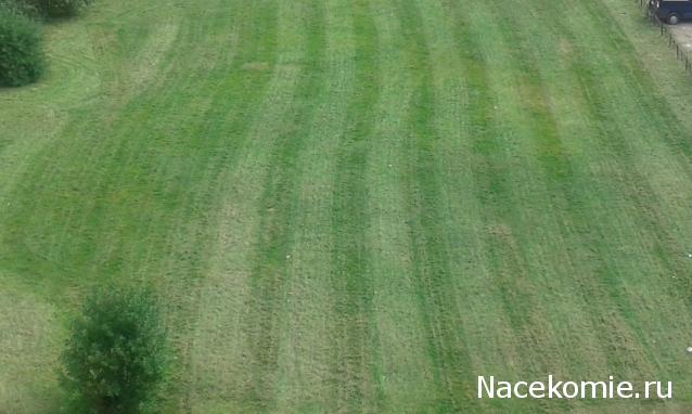 Тракторная болталка