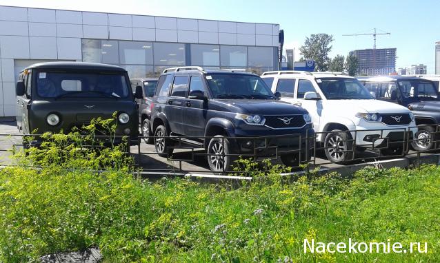 Автолегенды вживую