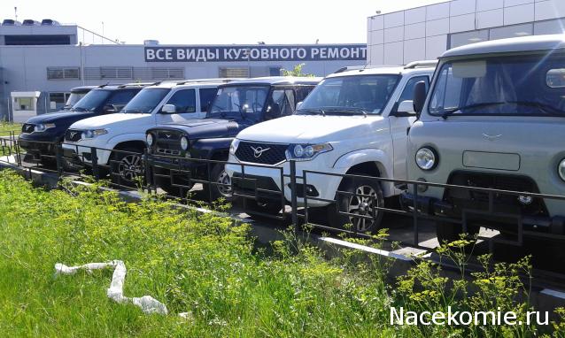 Автолегенды вживую