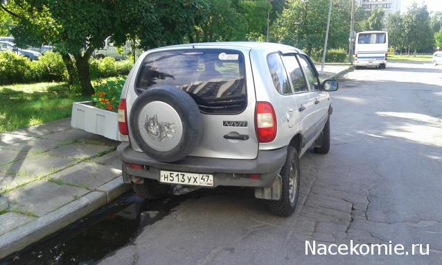 Автолегенды вживую