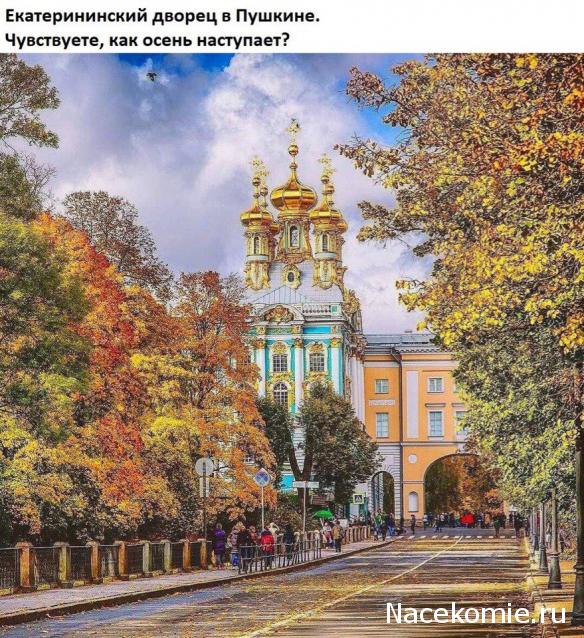 Тракторная болталка