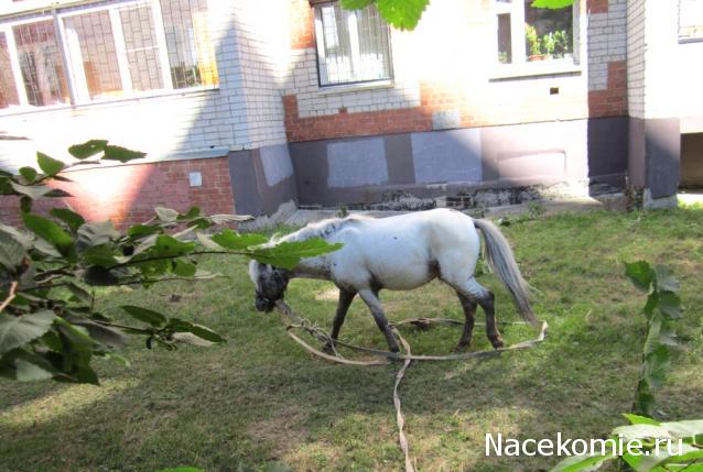 Автолегенды вживую