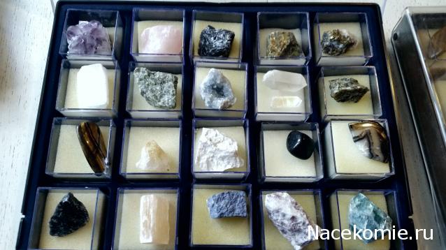 Компания кладоискателей. Болталка форума Минералов