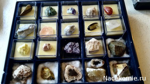 Компания кладоискателей. Болталка форума Минералов