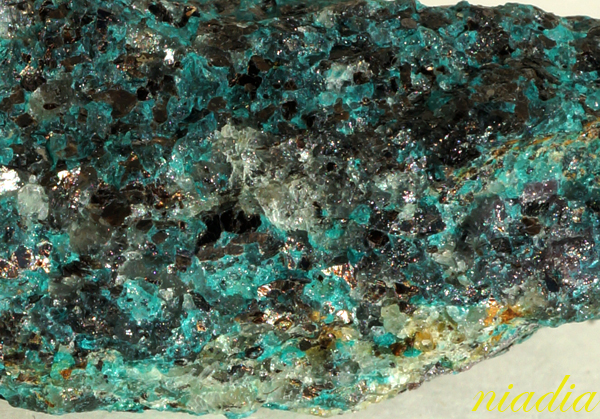 Компания кладоискателей. Болталка форума Минералов